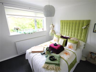 Picture 10